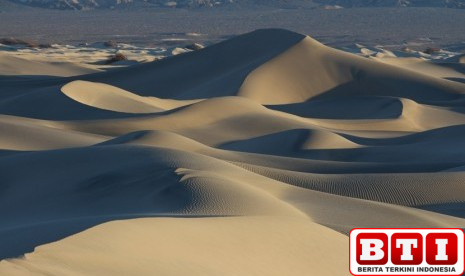 cerita-jenazah-di-tempat-sampah