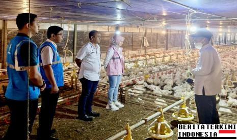 harga-ayam-telur-anjlok-kementan-stabilisasi-kami-pastikan-peternakan-rakyat-berlanjut