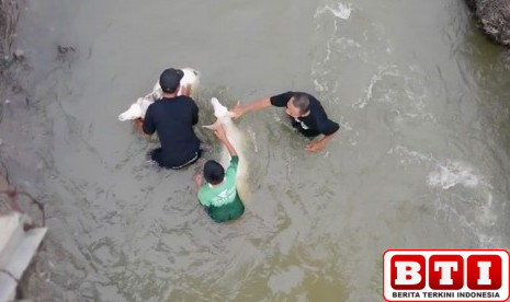 panduan-dan-syarat-memilih-hewan-kurban