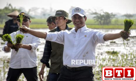 prabowo-izinkan-ekspor-beras-ini-respons-mentan