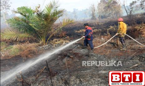 tujuh-provinsi-jadi-prioritas-penanganan-karhutla