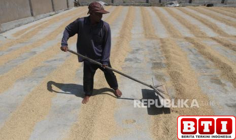 amerika-produksi-beras-ri-surplus-600-ribu-ton-mentan-terdepan-di-asean