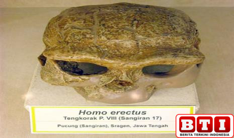 antropologi-dan-penemuan-sejarah-di-indonesia-menyingkap-jejak-peradaban-nusantara-1