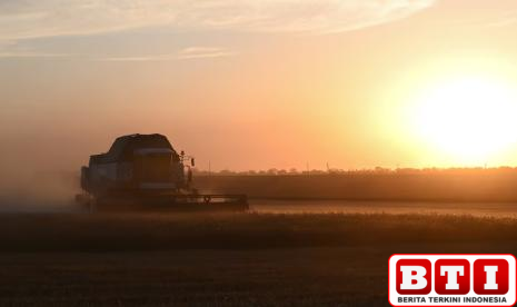 cuaca-ekstrem-ancam-panen-gandum-rusia