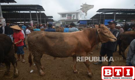 daerah-ini-melarang-pedagang-hewan-kurban-jualan-di-pinggir-jalan