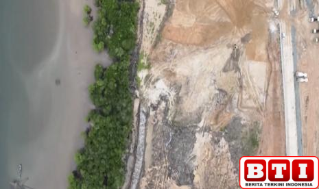 empat-negara-ini-masuk-daftar-hitam-uu-anti-deforestasi-uni-eropa