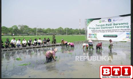 food-station-gandeng-gapoktan-rorotan-garap-235-hektare-sawah