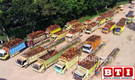 harga-referensi-cpo-juni-2025-turun-736-persen-ini-penyebabnya