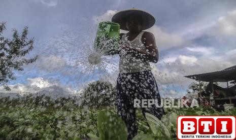 indonesia-perkuat-ekspor-pertanian-lewat-kemitraan-strategis-dengan-uea