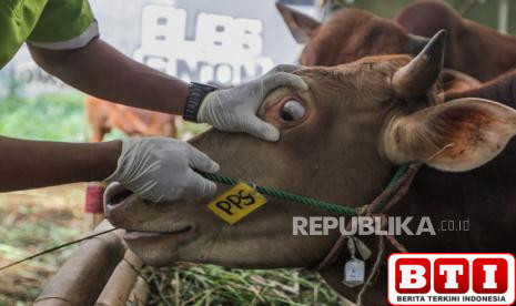 jangan-asal-pilih-ini-ciri-hewan-kurban-sehat-yang-harus-diketahui