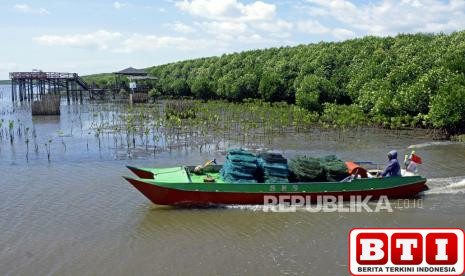 kesenjangan-pembiayaan-hambat-pemanfaatan-karbon-biru