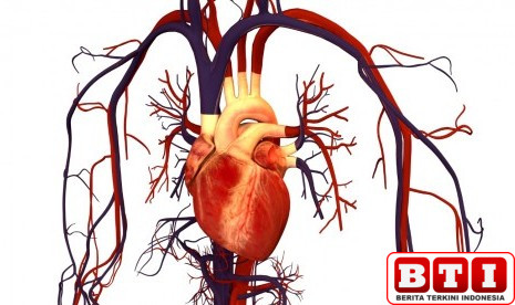merokok-hingga-kolesterol-tinggi-jadi-faktor-risiko-penyakit-jantung