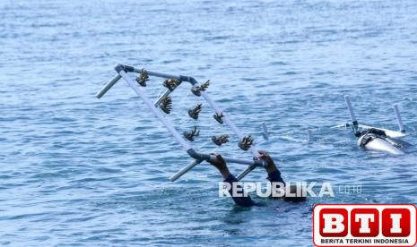 pasukan-katak-lakukan-rehabilitasi-terumbu-karang-di-pantai-bangsring