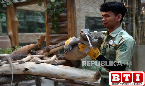 perubahan-iklim-rusak-habitat-komodo-terancam-punah
