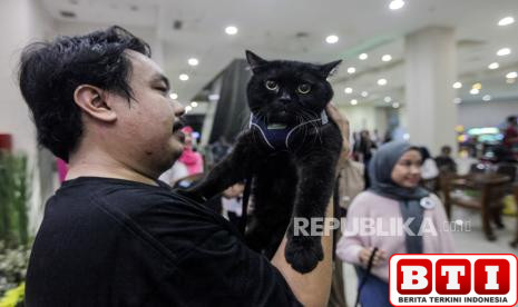 petfest-2025-diserbu-lebih-1000-pencinta-hewan