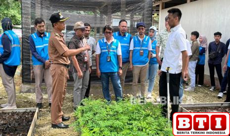pln-epi-bangun-ekonomi-sirkular-di-gunungkidul-lewat-pemanfaatan-lahan-kritis-dan-pelatihan-warga