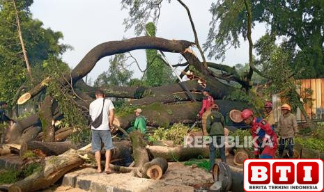 pohon-besar-tumbang-di-dago-bandung-tiga-orang-luka-jalan-ir-h-djuanda-ditutup