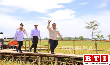 produksi-beras-diprediksi-naik-11-persen-kementan-sebut-swasembada-semakin-dekat