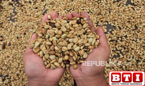 produksi-kopi-gayo-anjlok-akibat-perubahan-iklim