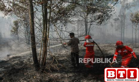 puluhan-hektare-hutan-dan-lahan-di-kalteng-terbakar-sejak-awal-tahun