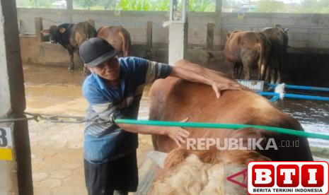 setop-buang-limbah-penyembelihan-kurban-ke-got-dan-sungai-ini-bahayanya-bagi-lingkungan