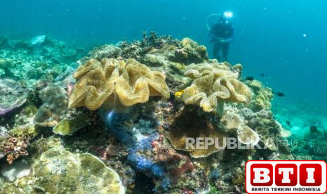 terapkan-esg-lewat-konservasi-terumbu-karang-dan-mangrove