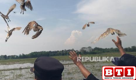 tunaikan-janji-ke-petani-prabowo-kirim-1000-burung-hantu-ke-majalengka