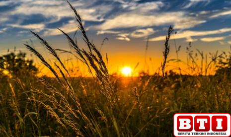 ulasan-dan-apresiasi-puisi-di-sepersekian-detik-pertemuan-1