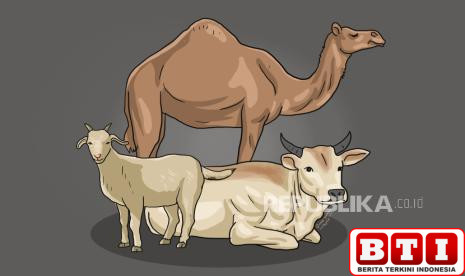 unta-sapi-kambing-mana-lebih-utama-untuk-hewan-qurban