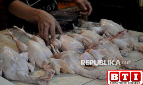 viral-atlet-binaraga-malang-terpaksa-makan-ayam-tiren-yang-sudah-busuk-ini-alasannya-1