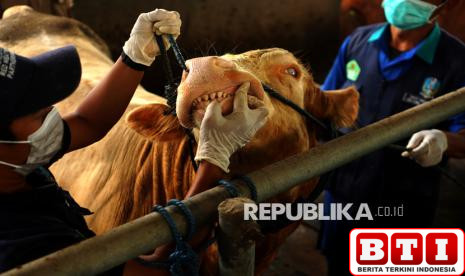 yang-lain-cari-kerja-saya-cari-rumput-sekarang-punya-aset-rp-80-miliar