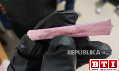 bea-cukai-gagalkan-penyelundupan-ribuan-satwa-ke-luar-negeri-di-bandara-kualanamu