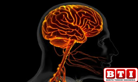 gangguan-saraf-otak-dari-stroke-sampai-bells-palsy-apa-itu