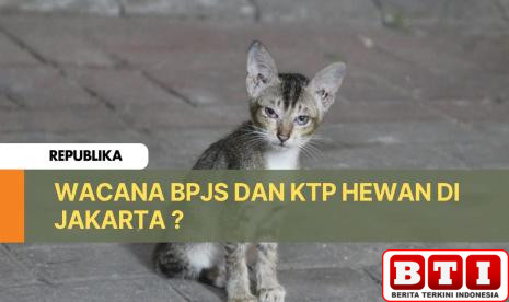 heboh-wacana-bpjs-kesehatan-dan-ktp-untuk-hewan-di-jakarta
