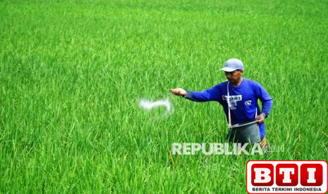 kementan-sebut-10-komoditas-pertanian-peroleh-alokasi-pupuk-subsidi