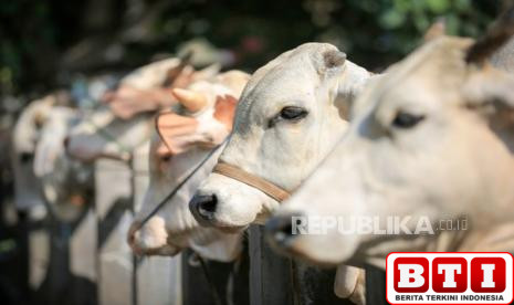 kurban-dari-dana-pinjol-emang-boleh-yuk-simak-ulasannya
