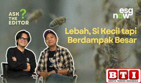 lebah-si-kecil-tapi-berdampak-besar