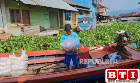 menteri-kkp-sebut-ikan-di-waduk-cirata-mengandung-merkuri-pembudidaya-kja-resah