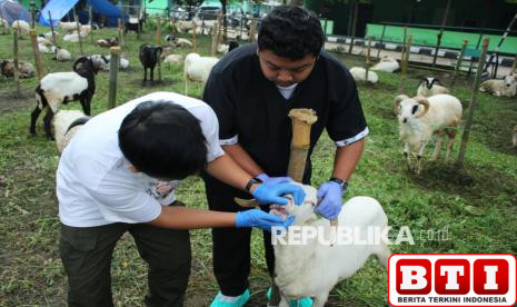 pemkot-bandung-perketat-pengawasan-kesehatan-hewan-kurban