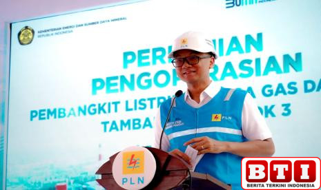 pln-setor-rp-65-triliun-ke-negara-ini-rinciannya