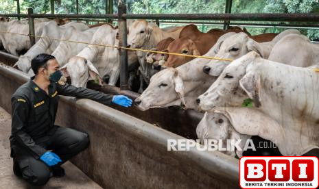 zulhas-sebut-kuota-impor-sapi-hidup-kini-dibebaskan-tahun-ini-targetkan-250-ribu-ekor