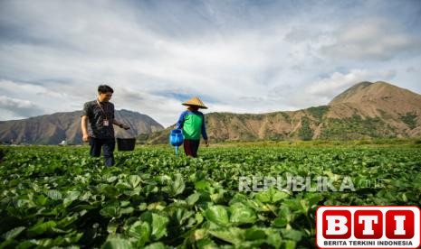 bri-salurkan-kur-rp-8338-triliun-pertanian-jadi-motor-utama
