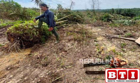 habitat-gajah-di-taman-nasional-tesso-nilo-jadi-lahan-sawit-nusron-kita-cabut-sertifikatnya