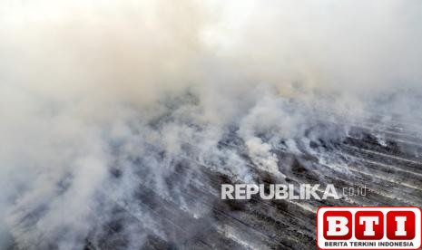 karhutla-di-jambi-hanguskan-70-hektare-lahan