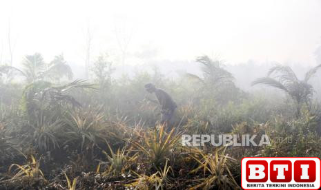 karhutla-riau-memburuk-pemerintah-kerahkan-120-manggala-agni-dan-lakukan-omc