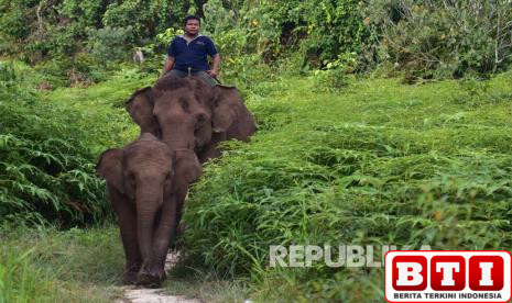 kementerian-ham-kritisi-penghentian-sekolah-di-kawasan-konservasi-tesso-nilo
