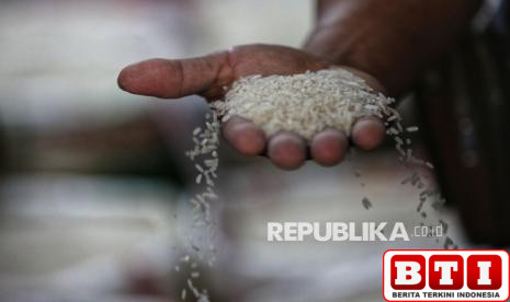 komisi-iv-dpr-minta-pemerintah-tindak-tegas-dugaan-beras-oplosan