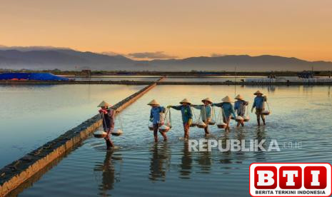 kredit-bri-dan-bsi-disalurkan-lewat-koperasi-merah-putih-ini-skemanya