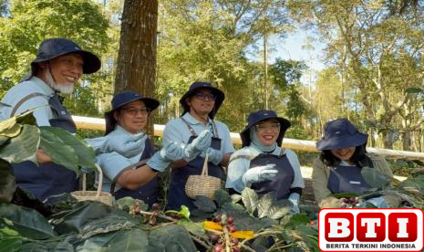 manfaatkan-panas-bumi-pge-bawa-kopi-kamojang-tembus-pasar-ekspor