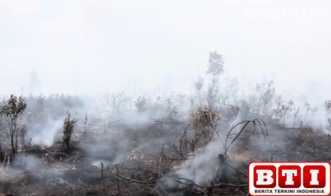 odgj-main-api-lahan-dua-hektare-terbakar